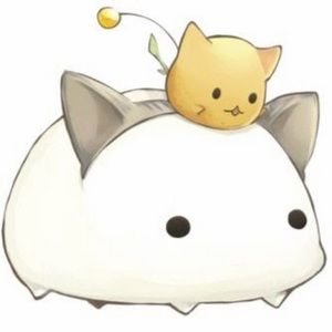 Meet your Posher, Amenda